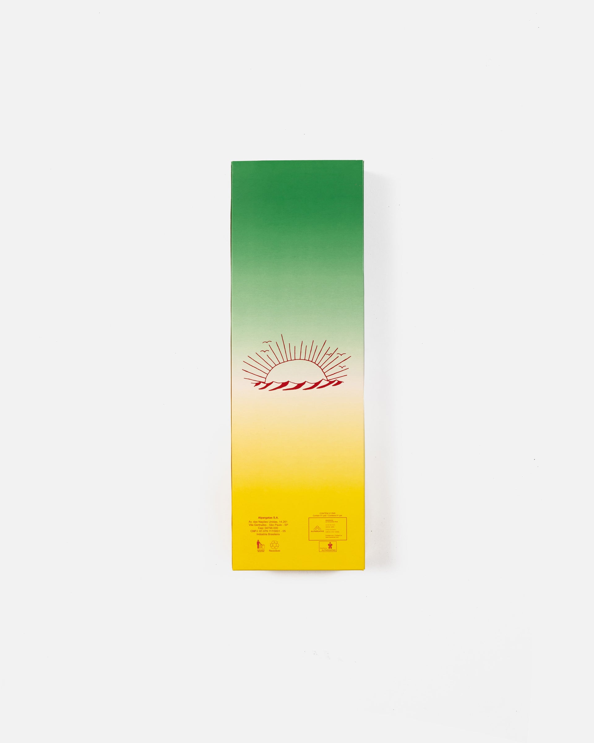 Patta x Havaianas Top (Black)